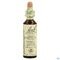 Bach Flower Remedie 30 Sweet Chestnut 20ml