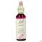 Bach Flower Remedie 38 Willow 20ml