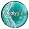 Eucalygum Pectorale Gommetjes Met Suiker 40g