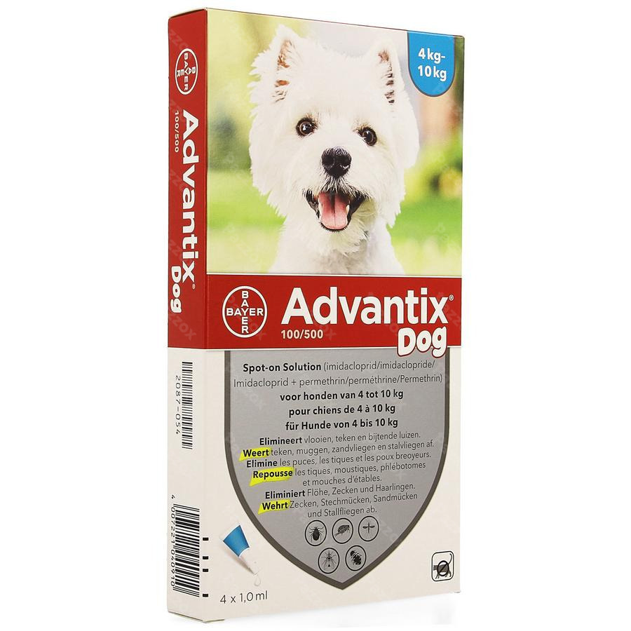 boeren tong zegevierend Advantix 100/500 Kleine Honden 4x1,0ml kopen - Pazzox