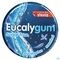 Eucalygum Pectorale Gommetjes Zonder Suiker 32g