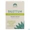 Silettum Gel 60