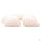 Bota Coussin Fer A Cheval + Housse