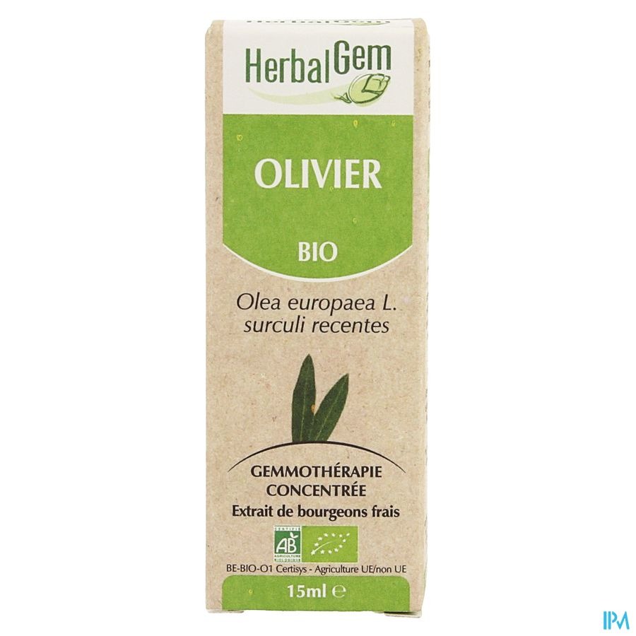 Herbalgem Olivier Macerat 15ml