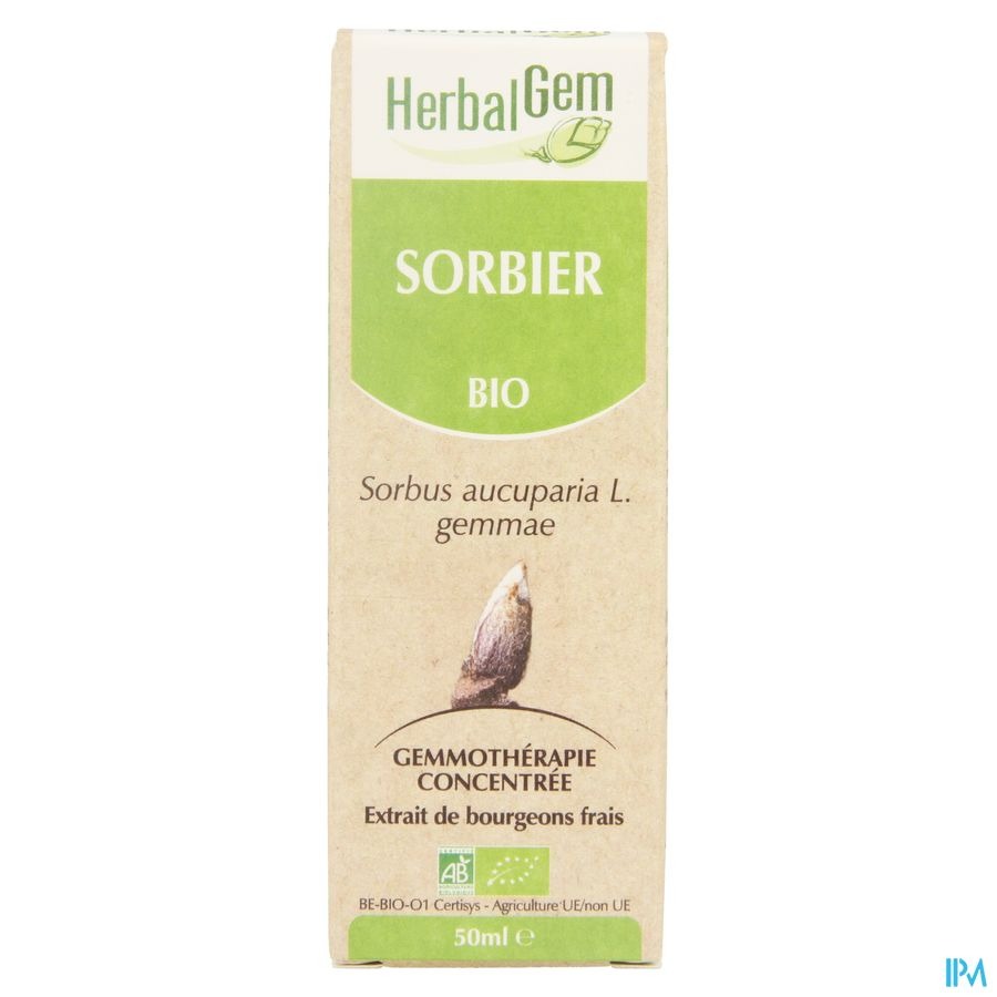 Herbalgem Sorbier Macerat 50ml