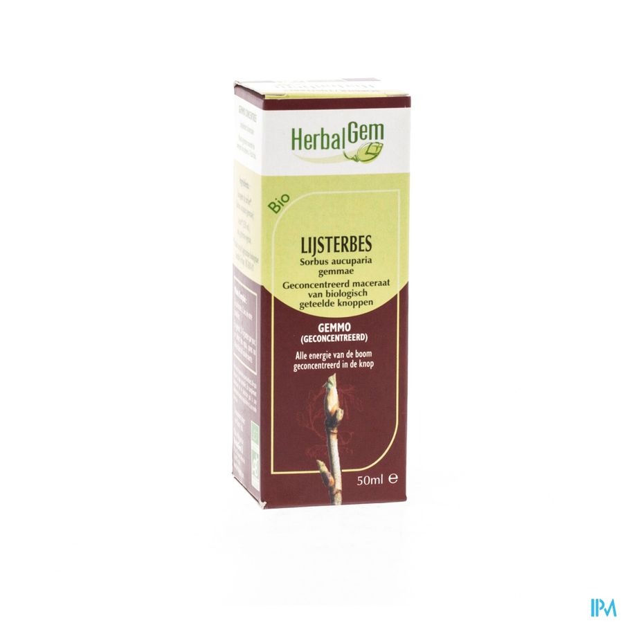Herbalgem Lijsterbes Maceraat 50ml