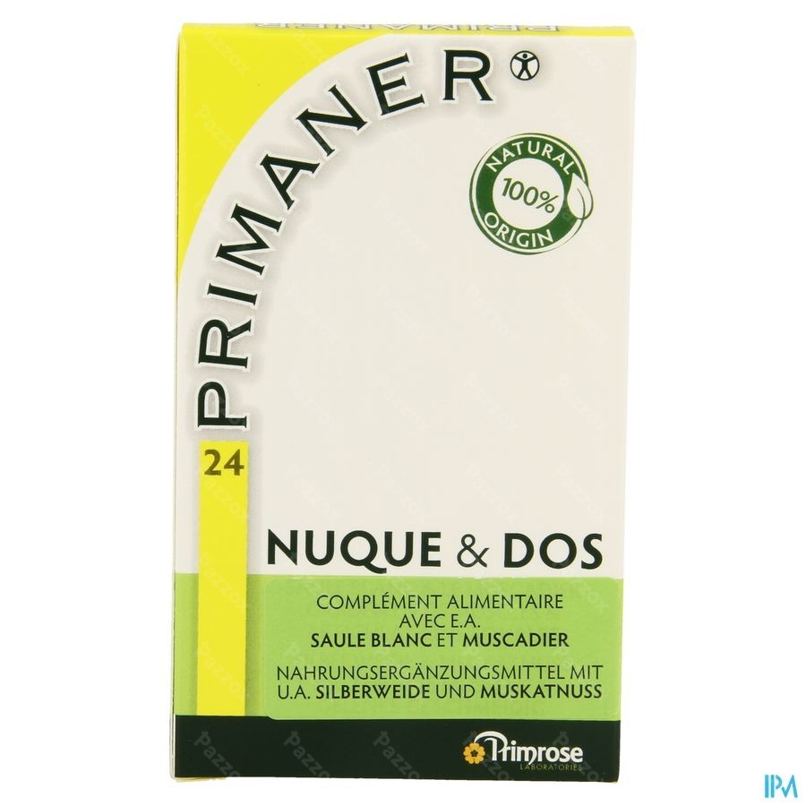 Primaner Caps 24