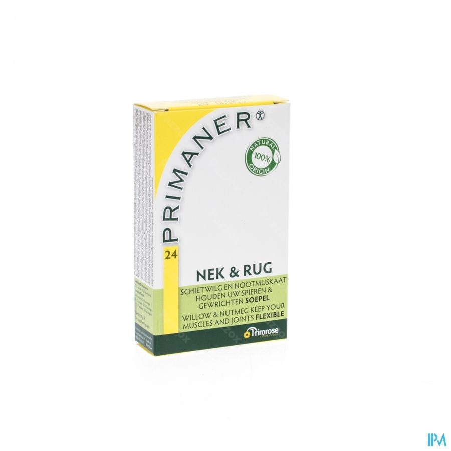 Primaner Caps 24