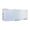 Liquick Base Ergoth.sonde Ves. Ch10 20cm 60 630110