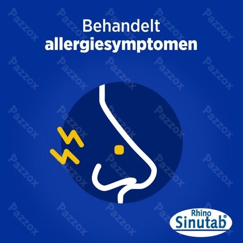 RhinoSinutab 120mg/5mg 14 Tabletten