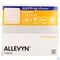 Allevyn Ag Adhesive Ster 12,5x12,5cm 10 66800076