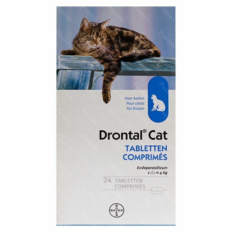 Drontal Katten Chats Comp 24