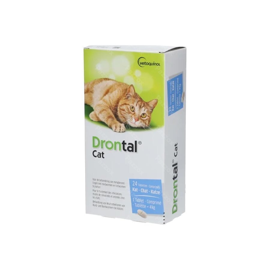 Drontal Katten Chats Comp 24