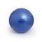Sissel Ball Securemax Pro Zitbal Diam.65cm Blauw