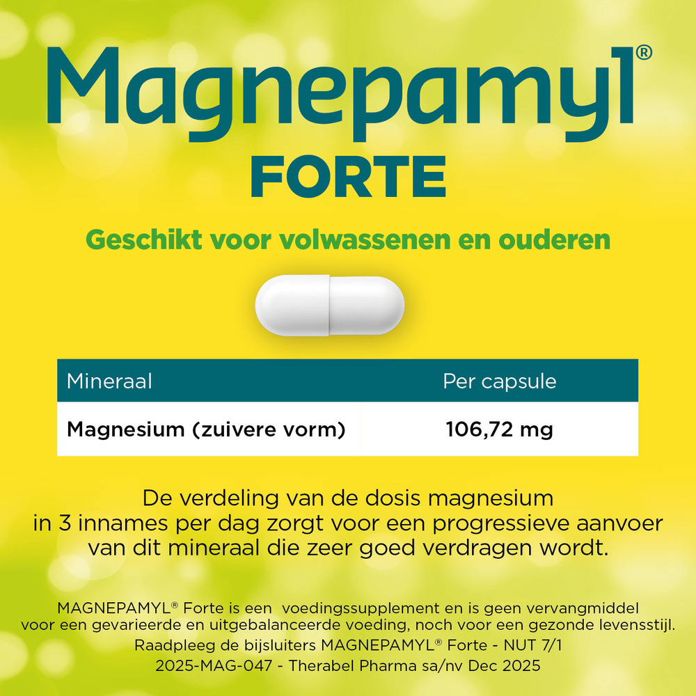 Magnepamyl Forte Caps 60