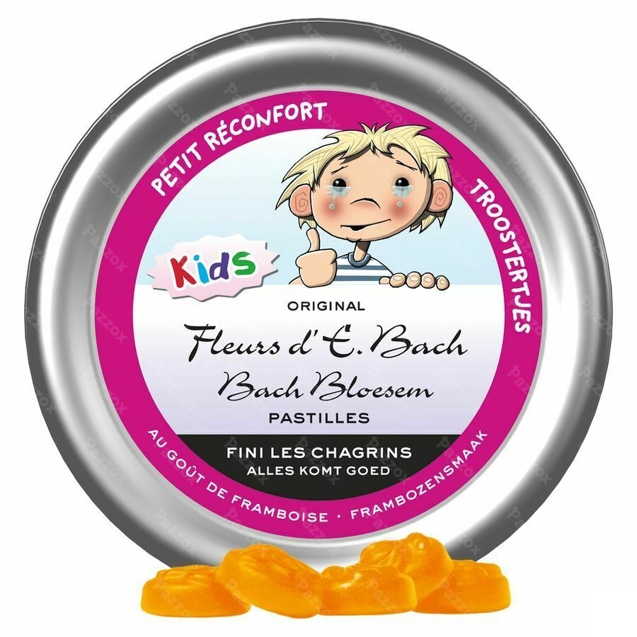 Fleurs De Bach Petit Réconfort Pastilles 50g