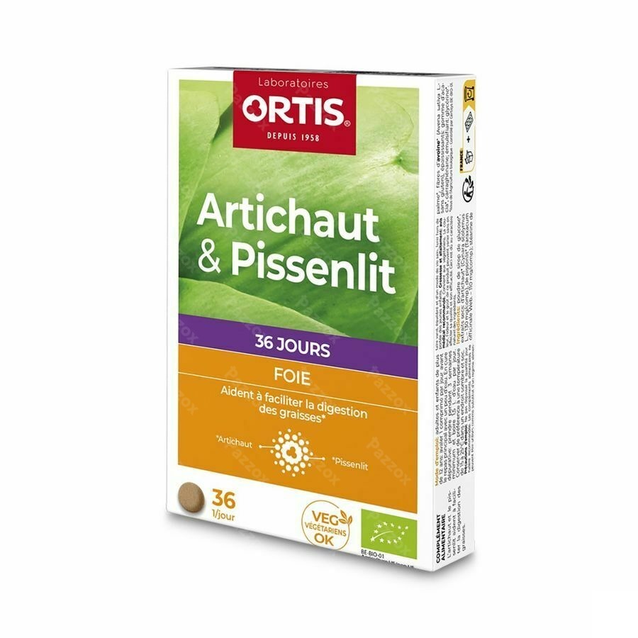 Ortis Artichaut-pissenlit Bio Comp 2x18