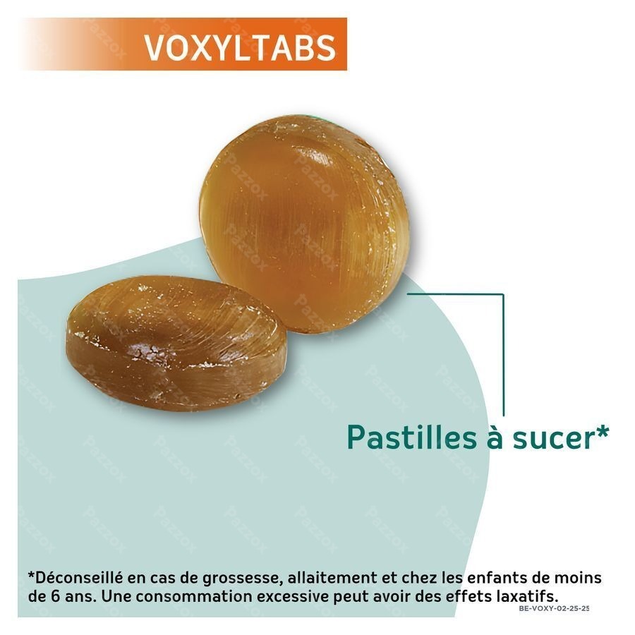 Voxyltabs Past A Sucer 24 Rempl.2663490