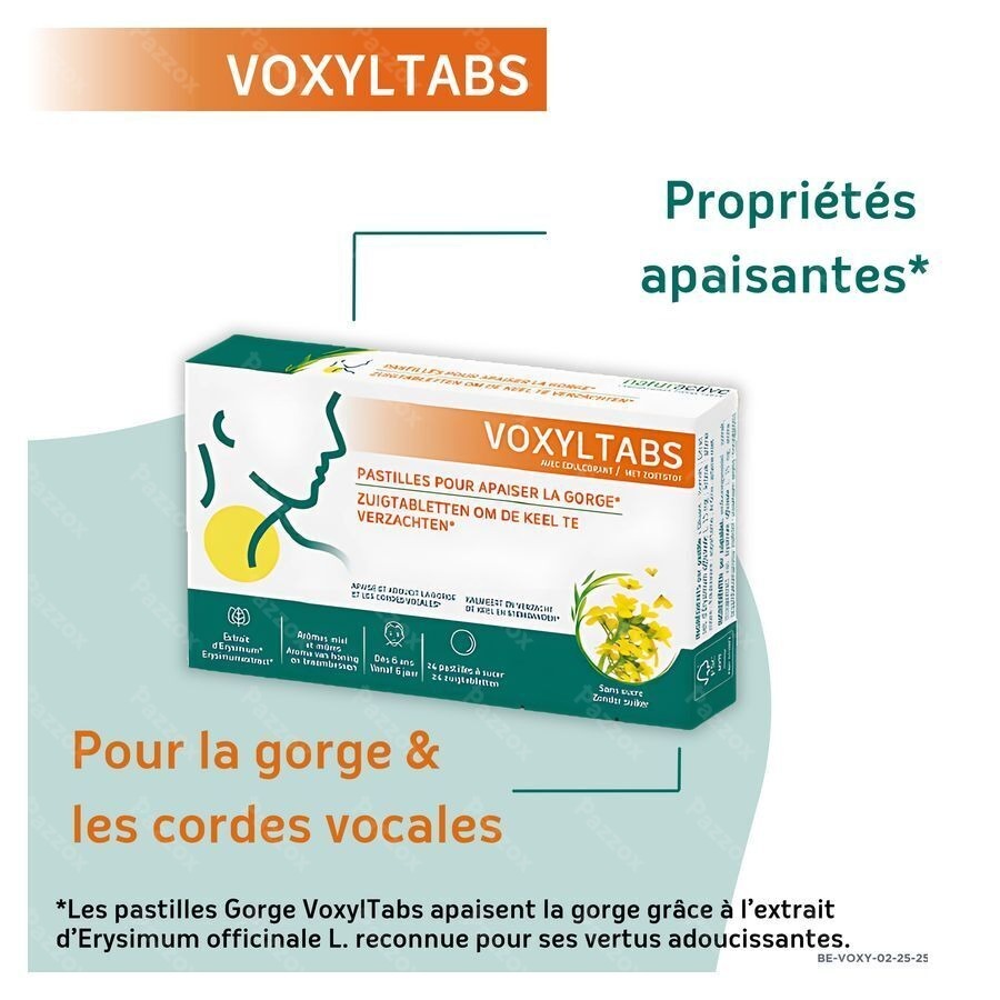 Voxyltabs Past A Sucer 24 Rempl.2663490