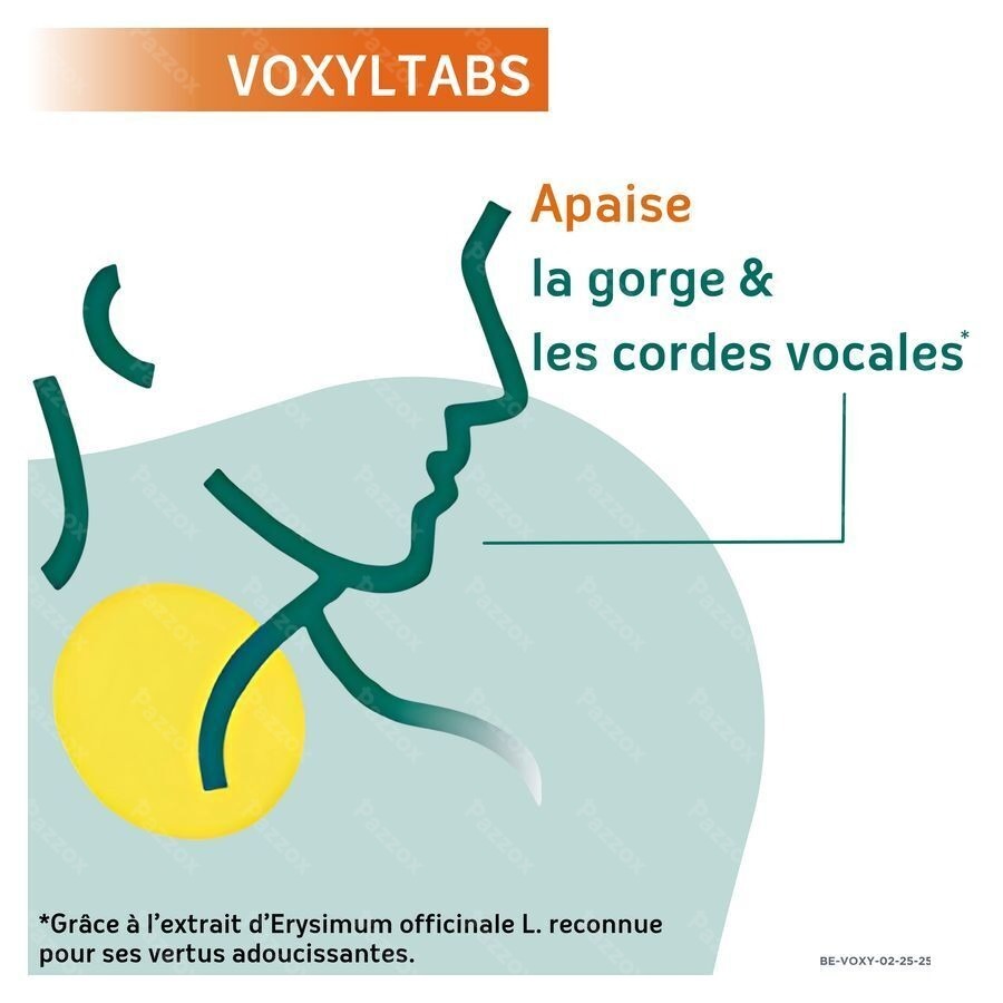 Voxyltabs Past A Sucer 24 Rempl.2663490