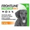 Frontline Combo Line Dog S 2-10kg 3x0,67ml