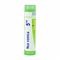 Boiron Nux Vomica 5CH Granules 4g