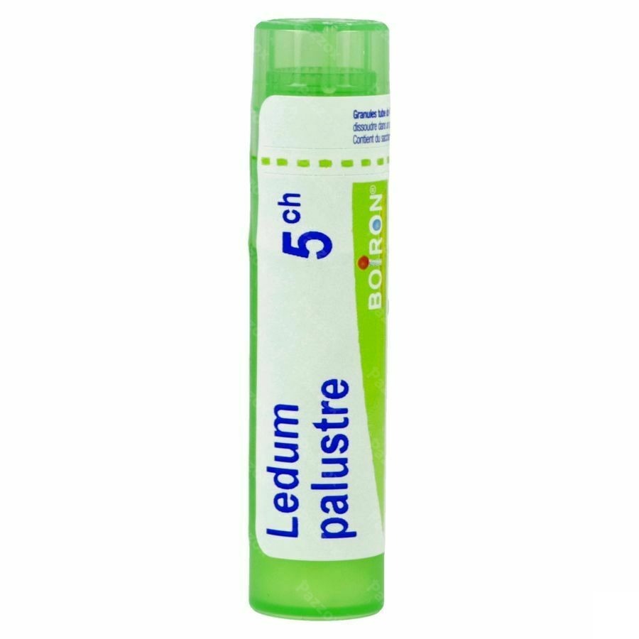 Boiron Ledum Palustre 5CH Granulen 4g