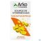 Arkogelules Huile Foie Morue 60