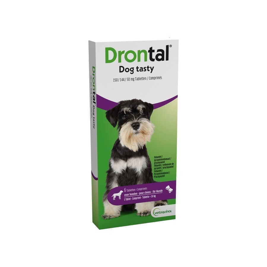 Drontal Tasty Bone 150/144/5mg 10kg Dog Comp 6