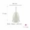 Claricup Coupelle Menstruelle Taille 2