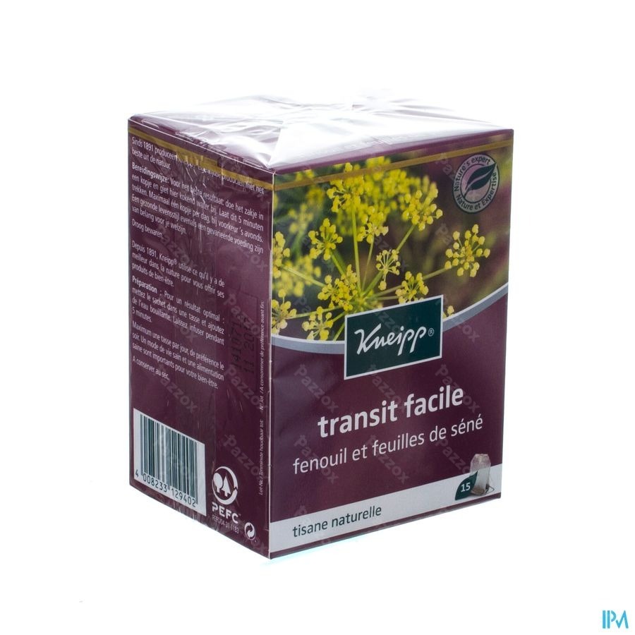 Kneipp Tisane Transit Facile Sach 15
