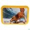 Fendigo Dia Tab Dunne Ontlasting 20 Tabletten