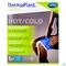 Dp Active Hot&cold Pack Large 1 P/s