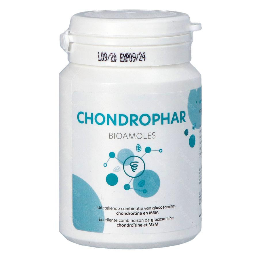 Chondrophar Pot Comp 60
