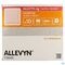 Allevyn Ag Pans Adhesive Silic. 12,5x12,5cm 10