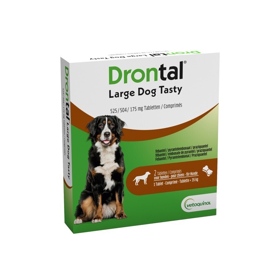Drontal Large Dog Tasty 2 Tabletten