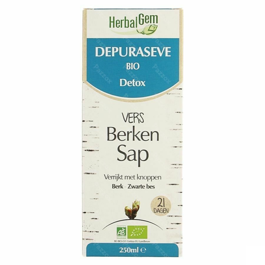 Herbalgem Depuraseve Bio 250ml Nf