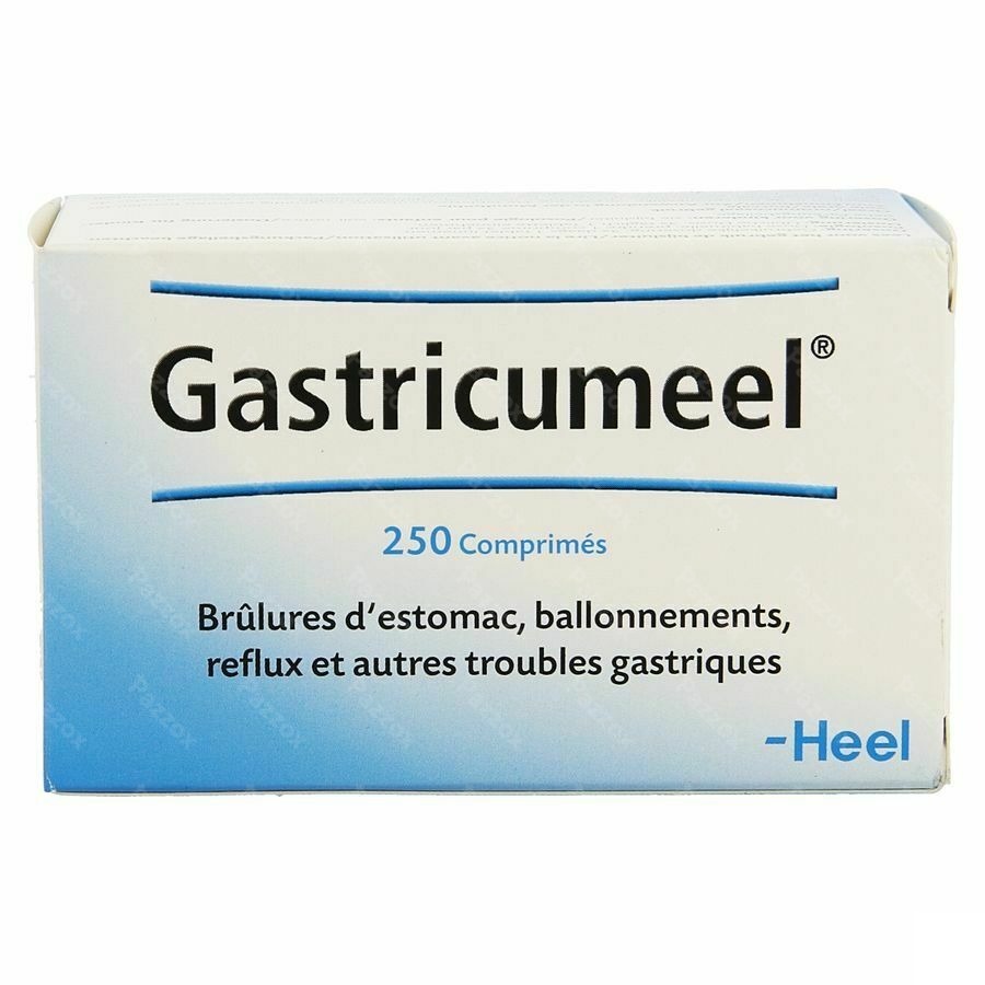 Gastricumeel 250 Comprimés