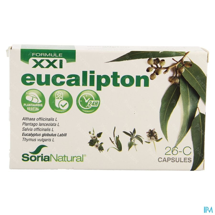 Soria 26c Eucalipton Xxi Caps 30