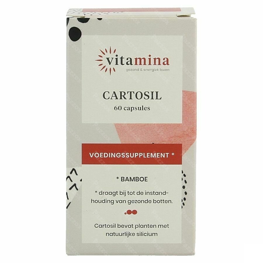 Vita Mina Cartosil Caps 60