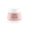 Vichy Neovadiol Rose Platinium Nachtverzorging 50ml