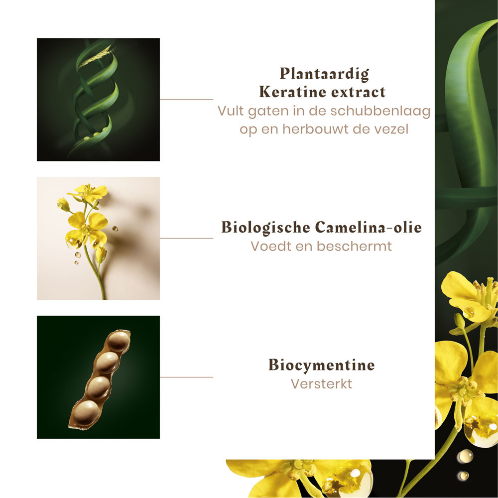 Furterer Absolue Keratine Herstellende Shampoo 50ml