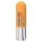 Isdin Protector Labial Stick Baume Levres Ip30 4g