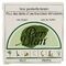 Perblan Poudre Dentifrice Menthe 30g