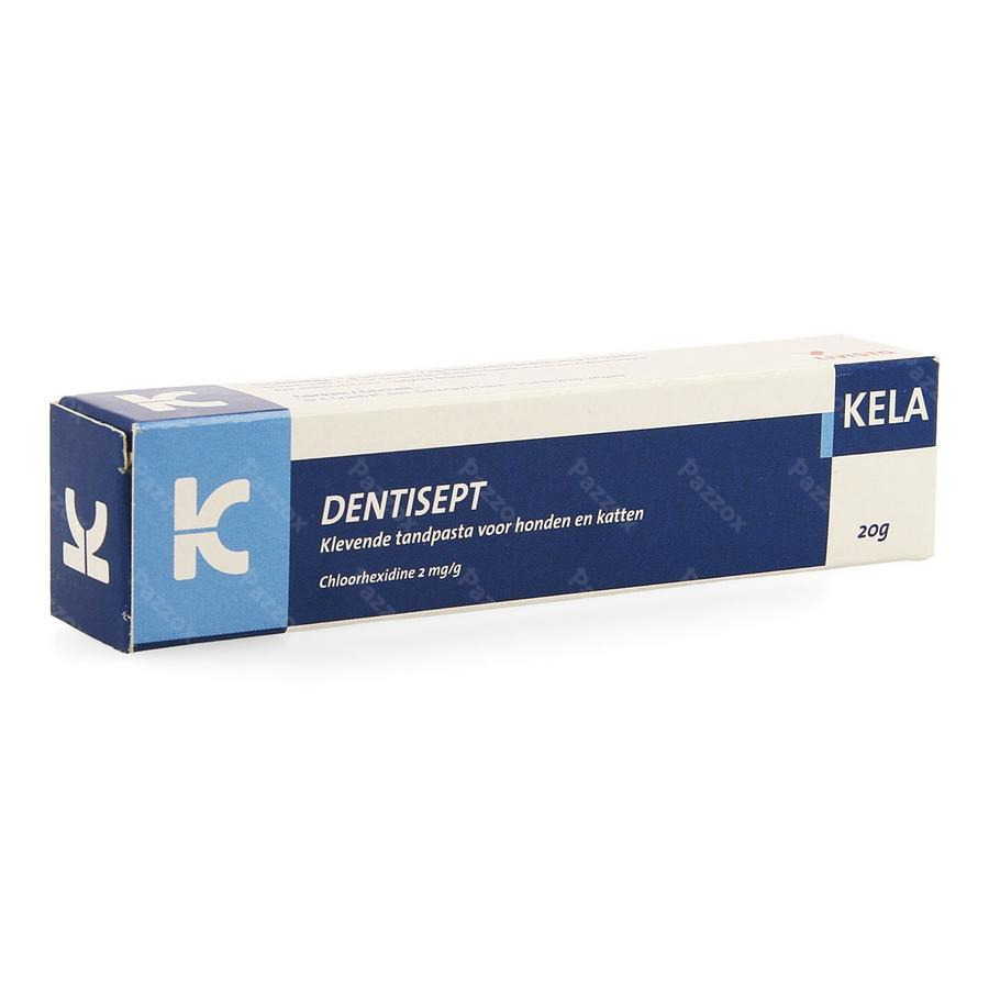 Dentisept Dentifrice Chien Chat Tube 20g