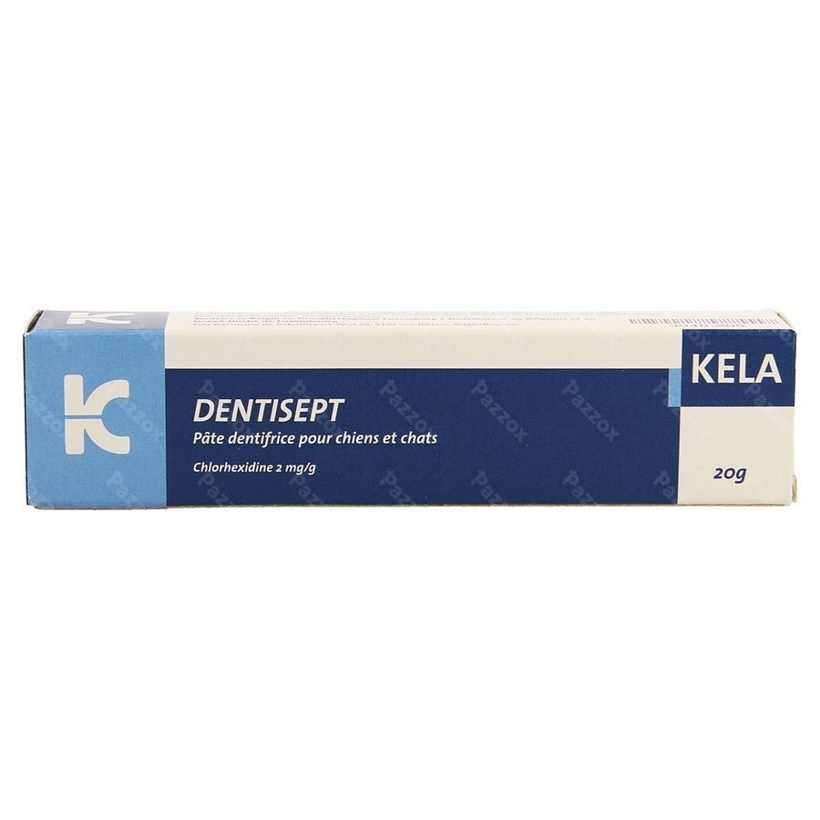 Dentisept Dentifrice Chien Chat Tube 20g