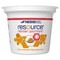 Resource Dessert Gourmand Caramel 4x125g