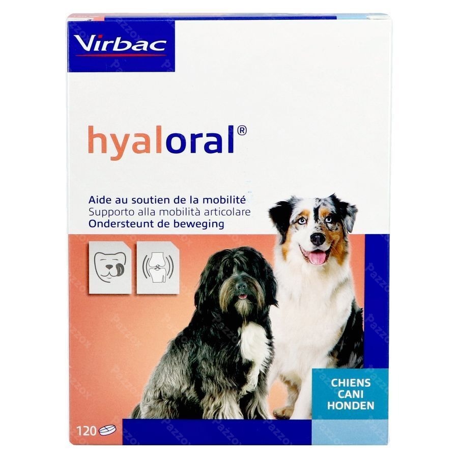 Hyaloral Comp 120