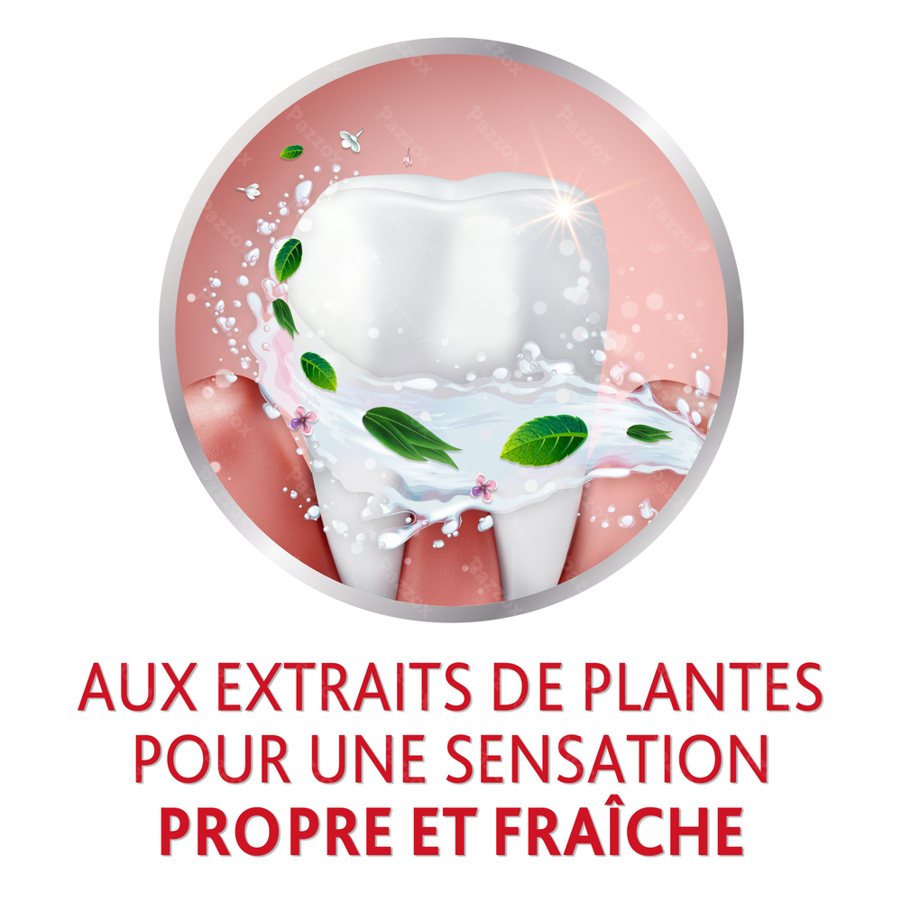 Parodontax Dentifrice Herbal Ginger Tube 75ml