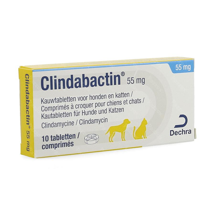 Clindabactin 55mg Comp A Croquer Chiens Chats 10